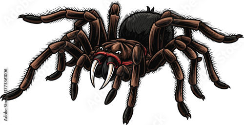Detailed Brown Tarantula with Fangs, Arachnid, and Many Legs