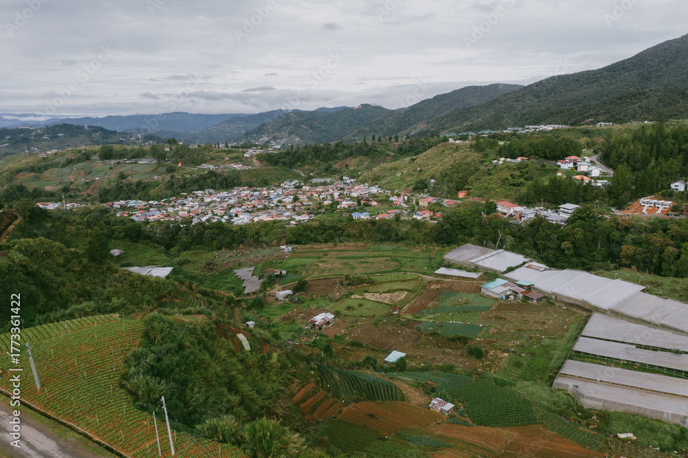 Fototapeta premium Cultivated terraces forming geometric patterns in rural landscape with farmhouses and dirt road