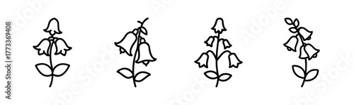 Four delicate hand drawn foxglove flower line art designs for floral projects