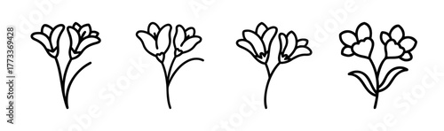 Four simple freesia flower line drawings delicate botanical line art blooms