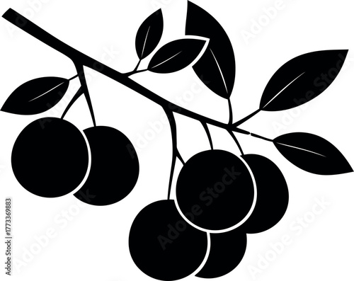 Black silhouette icon of fruit branch with leaves graphic.