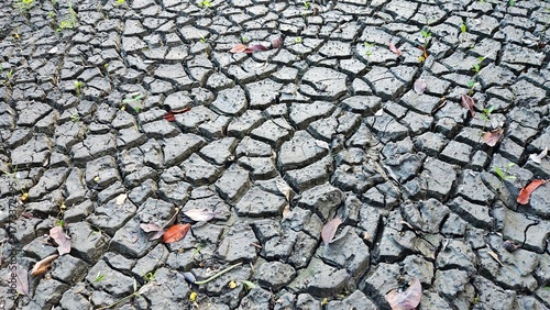 Dry and crack soil ground with fall leaves background.