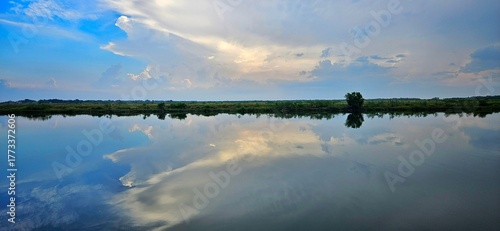 reflection cloud on surface of water swamp at nature tropical park landscape.