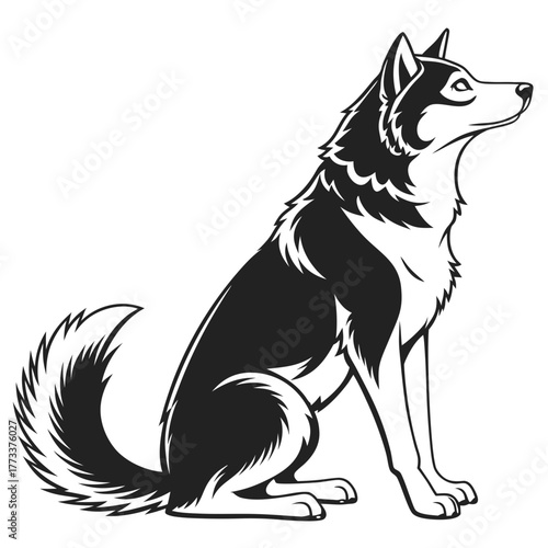vector illustration of a wolf dog