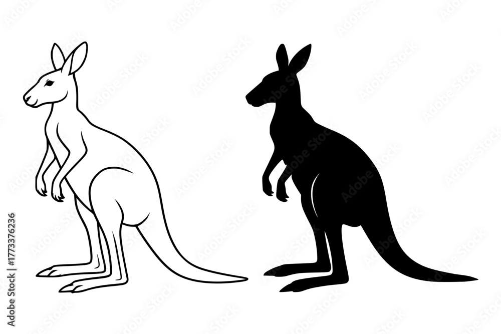 Fototapeta premium Kangaroo Vector Illustration, Outline and Silhouette Versions