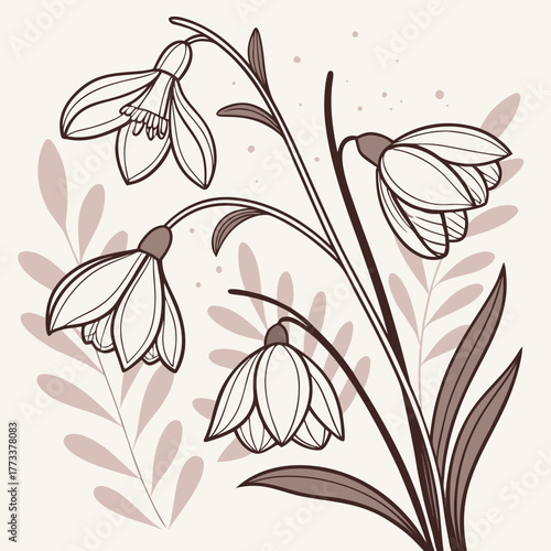 Elegant snowdrop flower illustration line art drawing floral design botanical artwork spring blossom nature image