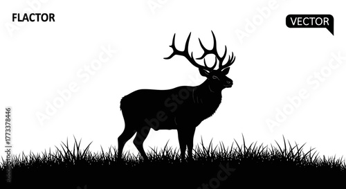Deer silhouette in grass with transparent background