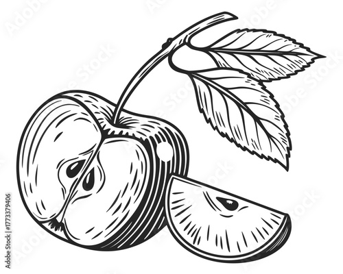 Illustration of a sliced apple with leaves and stem in a black and white engraving style design element created with generated ai