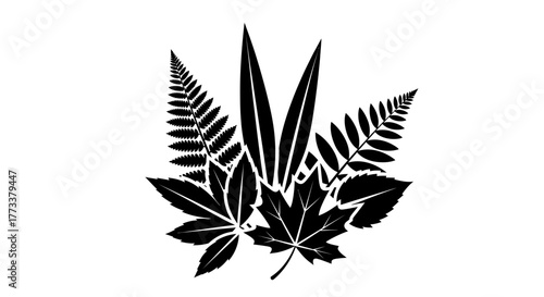Leaf arrangement with transparent background