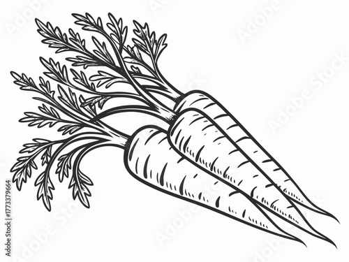 Illustration of three carrots with detailed leaves and textured surfaces in black and white style drawing created with generated ai