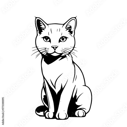 Adorable kitty sits patiently looking forward, bringing charm to any project instantly