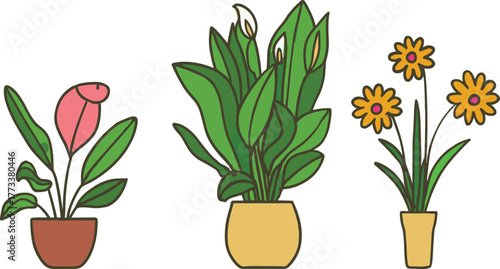 Cartoon flowering plant trio in colorful pots, botanical vector illustration with pink, white, and yellow blooms for decor, gardening, and education