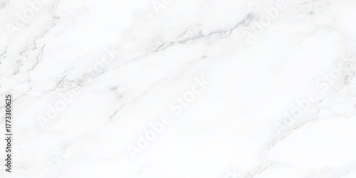 abstract polished and smooth curved black lines are surrounding randomly on white background as Marble granite white background wall surface.