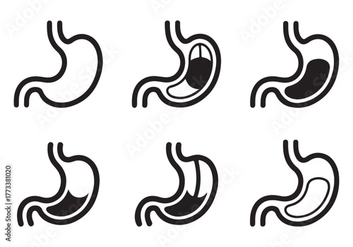 Human Stomach Icon Set – Medical Anatomy Vector Illustrations for Healthcare and Biology Design