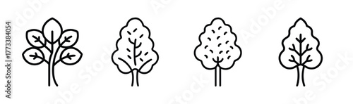 Set of four distinct line art alder trees botanical style simple outline icons