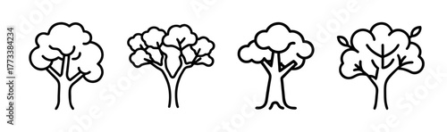 Four stylized hand-drawn eucalyptus trees simple line art botanical art for design projects