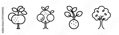 Set of four doodle style fruit trees including citrus and apple varieties