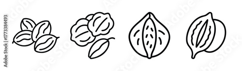 Four hand drawn pecan icons featuring whole and halved nuts and pecan halves