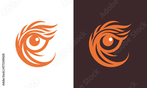 Abstract orange tiger eye with fiery mane on white and dark backgrounds