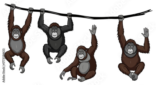 Four orangutans hanging and sitting on a branch