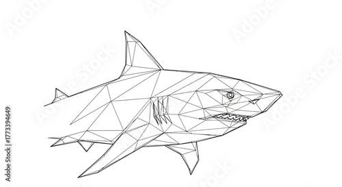 Geometric shark outline with transparent background