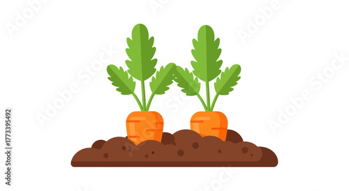 Two Fresh Carrots Growing in Rich Soil, Symbolizing Healthy Eating and Organic Farming