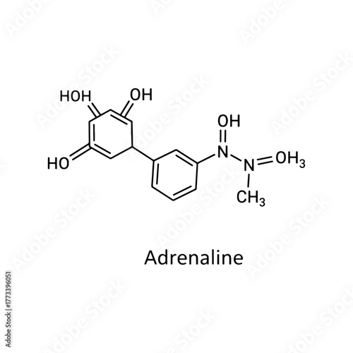 Adrenaline chemical structure, an essential neurotransmitter and hormone diagram, detailed molecular representation