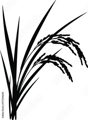 Silhouette vector rice plant paddy simple harvest agriculture Illustrator