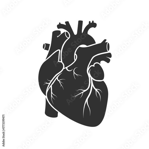 Detailed Anatomical Human Heart Organ in Black Silhouette for Medical and Health Concepts
