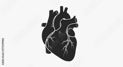 Black Human Heart Anatomy Icon with Subtle Shading Representing Cardiovascular Health
