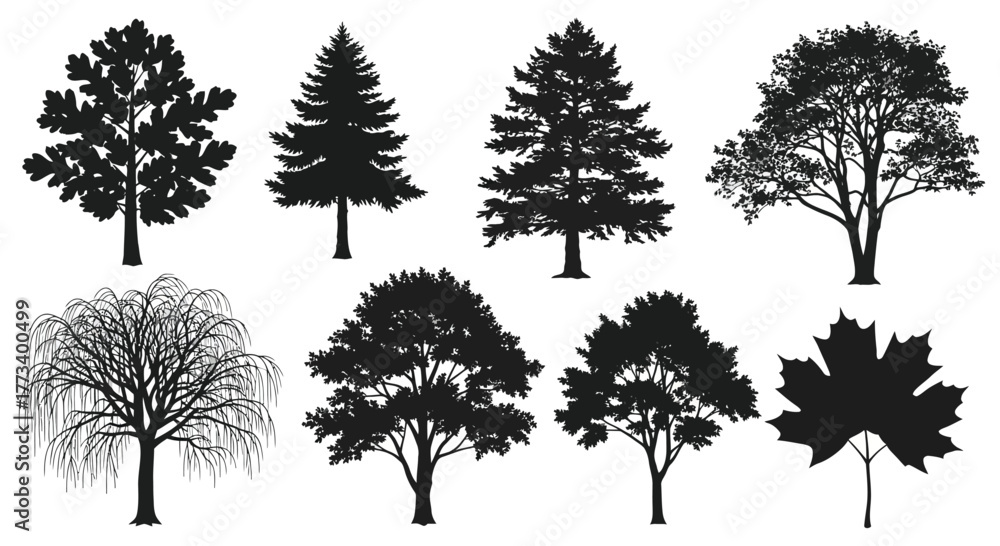 Fototapeta premium Black tree silhouettes vector set, detailed forest and garden trees collection, maple leaf and pine tree outline shapes for landscape design isolated on White Background