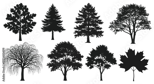 Set of tree silhouettes diverse forest tree collection illustration isolated on white background