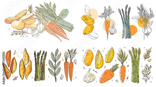 Hand-drawn vegetable illustration set with carrots, potatoes, garlic, and herbs in organic line art style. Perfect for farm branding, recipe design, and healthy food projects.