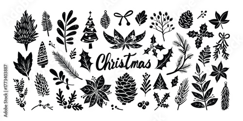 Set of isolated Christmas plant, vine and branch elements in black silhouette for holiday seasonal on transparent background.