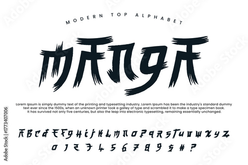 Asian chinese font and Japanese alphabet lettering 
font vector typeface