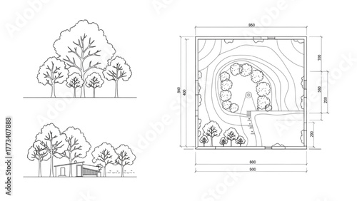 Architectural drawing of trees and park layout with dimensions
