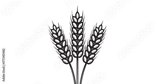 Three stalks of wheat isolated on transparent background