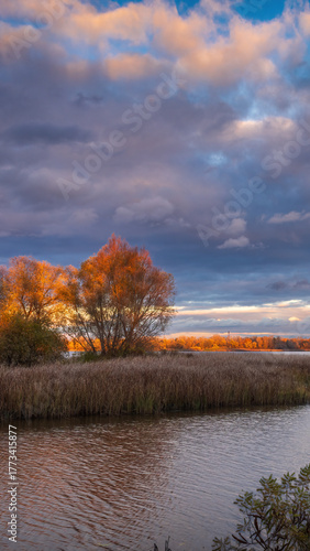 Sunset over the Dnipro River on Obolon Island in Kyiv, with autumn trees glowing in golden light under dramatic clouds.