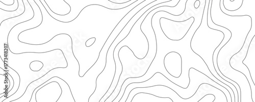 Abstract topographic contour map and geographic mountain relief background design .topography contour map white wave paper and curve gray color lines vector background .