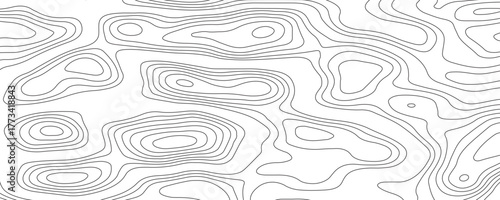 Abstract topographic contour map and geographic mountain relief background design .topography contour map white wave paper and curve gray color lines vector background .
