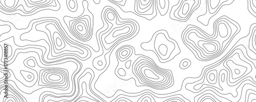 Abstract topographic contour map and geographic mountain relief background design .topography contour map white wave paper and curve gray color lines vector background .