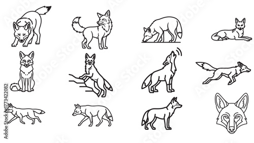 Coyote desert running and howling outline icons, wild prairie canine vector pack