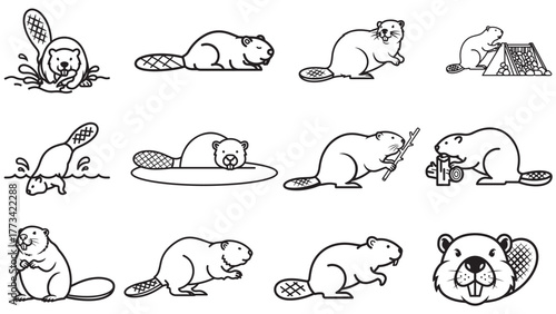 Beaver dam building outline icons, river engineer rodent vector collection