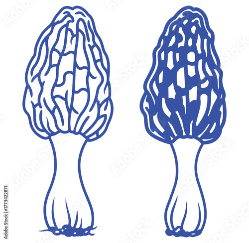 Two blue line art drawings of delicious morel mushrooms against a clean white background