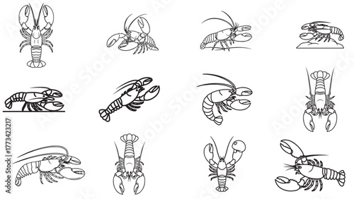 Versatile Set of Lobster Claw Linear Icons Isolated for Seafood Menus and Marine Biology Graphics