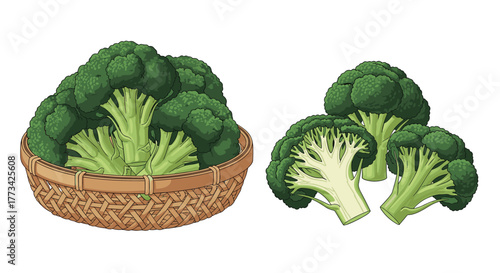Illustration of fresh broccoli florets in a woven basket and separate heads, showcasing healthy produce and vegetarian options.