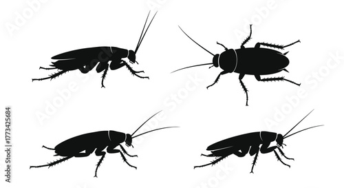 Silhouette illustrations of cockroaches in various poses, perfect for pest control or insect-related designs.