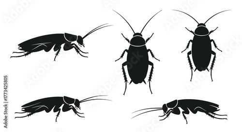 Collection of black silhouettes of cockroaches from different angles against a white background.