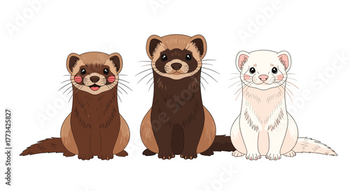 Three cute cartoon ferrets of different colors sitting side-by-side against a white background.