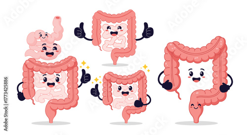 Cute cartoon illustrations of human digestive system organs with smiling faces and thumbs up, promoting healthy digestion and wellbeing.